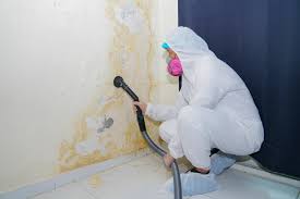 Mold Remediation for Rental Properties in Blountville, TN